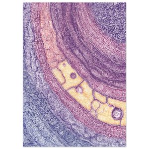 3fa3a984-7cc4-494c-9dde-24eaaa6e6f41.jpg 3fa3a984-7cc4-494c-9dde-24eaaa6e6f41