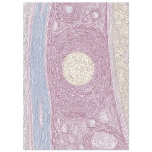 885a0e19-5349-4e7b-9710-081a04518bc0.jpg 885a0e19-5349-4e7b-9710-081a04518bc0