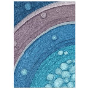 d8bc9ca8-aa72-4d3e-ac0a-67aba1b8864b.jpg d8bc9ca8-aa72-4d3e-ac0a-67aba1b8864b